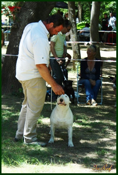 monte palancar Baby's on fire aka glloq - 3° Exc.