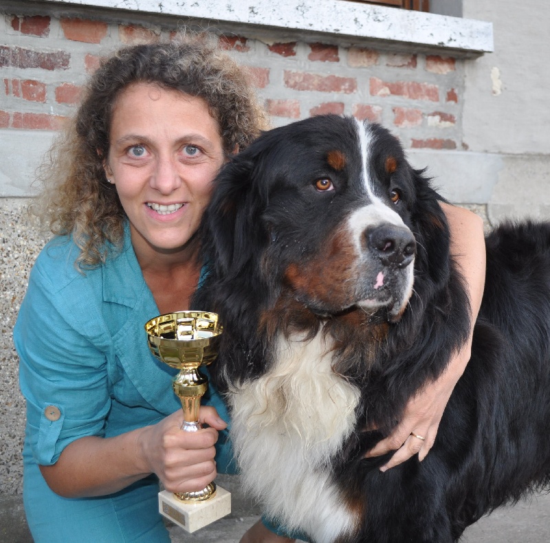 Panda Van't rijkenspark - 2è excellent classe intermédiaire 15 mois