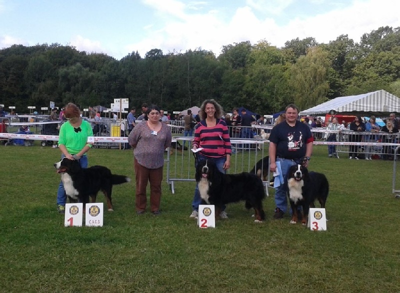 Panda Van't rijkenspark - 2è excellent classe ouverte (2 ans et 3 mois)