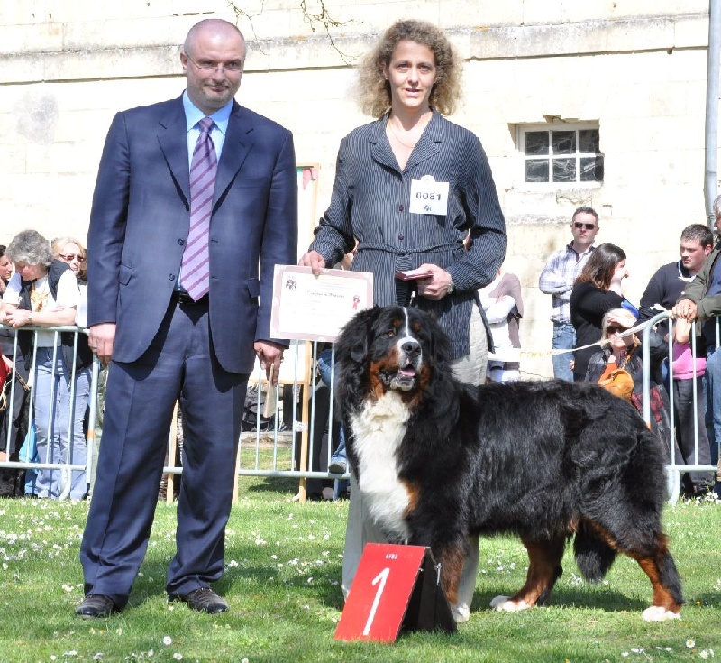 Panda Van't rijkenspark - 1er excellent classe jeune mâle 11 mois