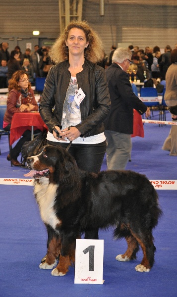 Panda Van't rijkenspark - 1er excellent classe intermédiaire 17 mois