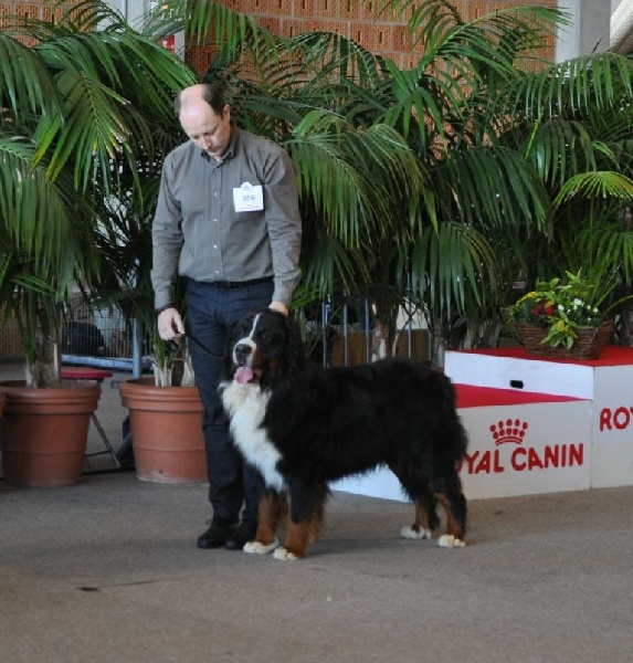 Panda Van't rijkenspark - CACS MR 2ème groupe 2