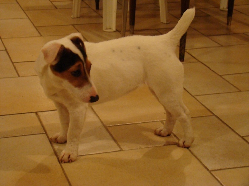 Publication : Du Clos De La Rabotiere