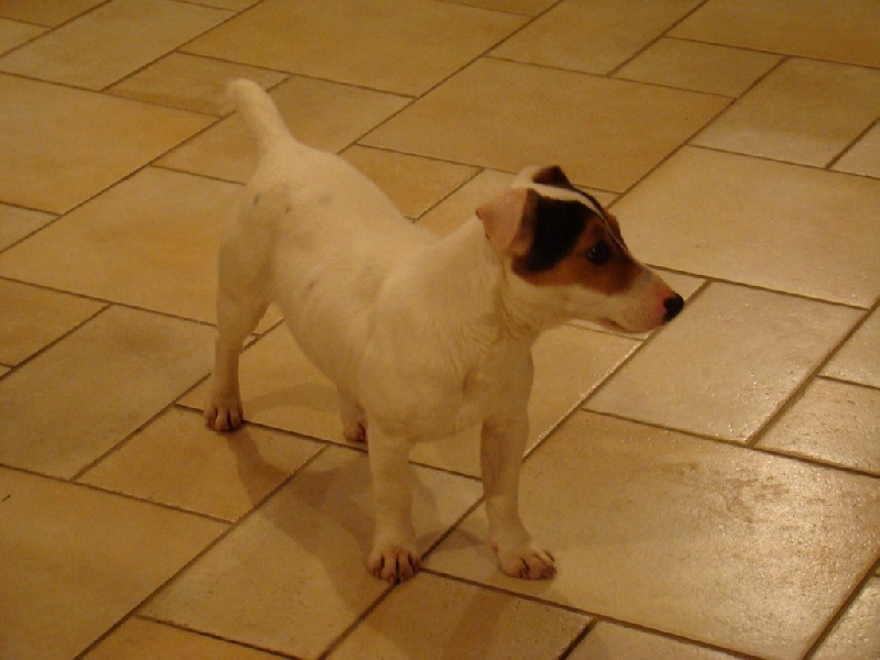 Publication : Du Clos De La Rabotiere