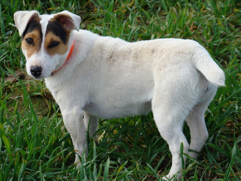 Publication : Du Clos De La Rabotiere