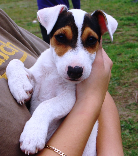 Publication : Du Clos De La Rabotiere