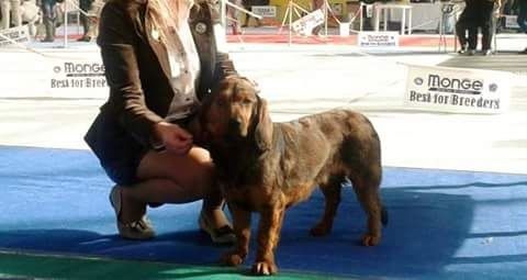 Publication : Du Clos De La Rabotiere Auteur : meslin stephane