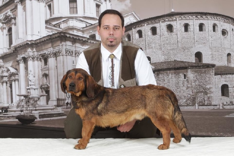 Publication : Du Clos De La Rabotiere Auteur : meslin stephane