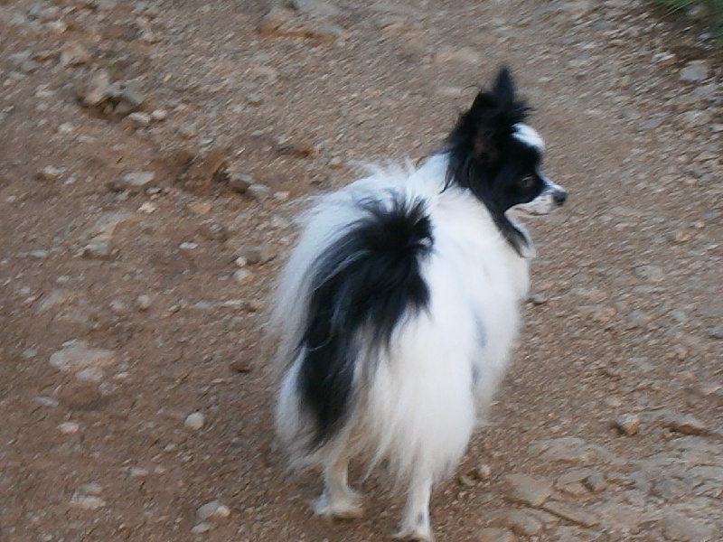 Publication : De Govalco