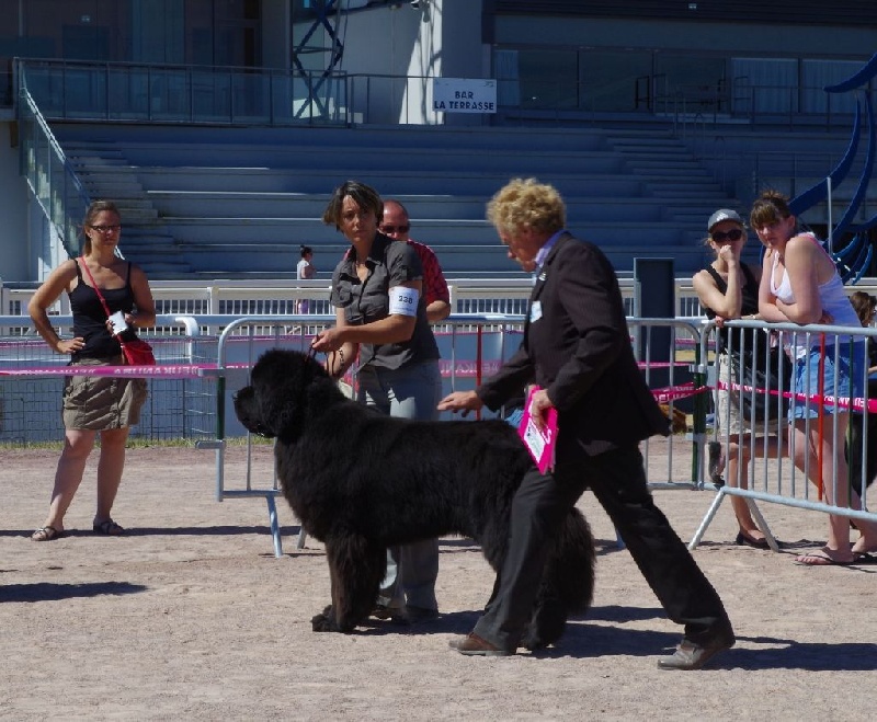 CH. I believe i can fly Du Golfe Des Nereïdes - CACS BOB
