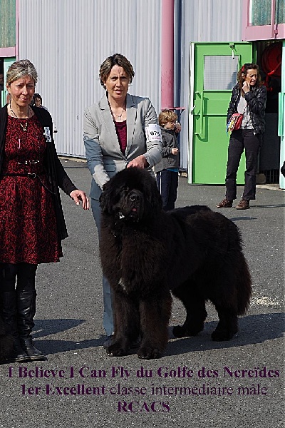 CH. I believe i can fly Du Golfe Des Nereïdes - RCACS