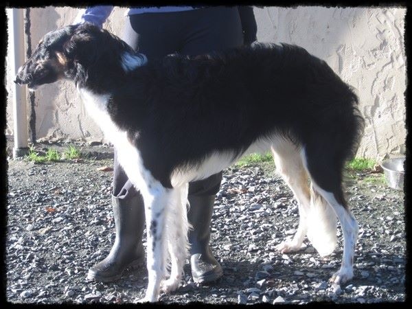 Juste une evidence Des Fils De Boree