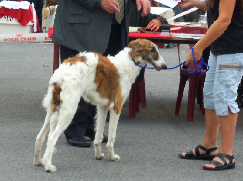 Hwyatt Des Fils De Boree