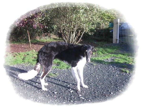 Juste une evidence Des Fils De Boree