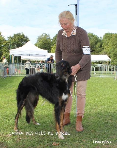 Janna Des Fils De Boree - 1ère excellente classe intermédiaire