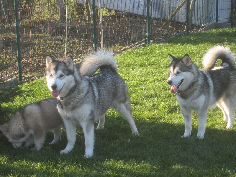 Mahala tahnee mara lilyrose De La Vallee De Nessie