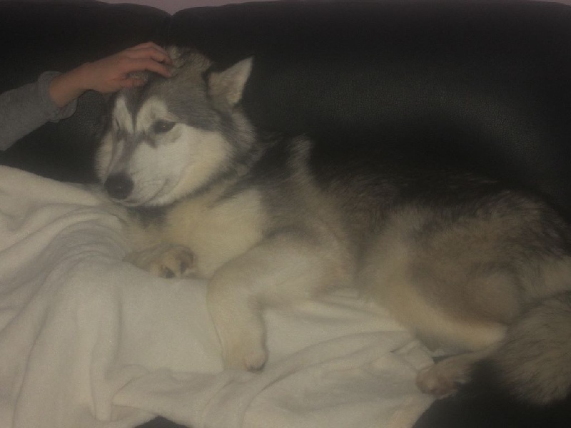 Mahala tahnee mara lilyrose De La Vallee De Nessie