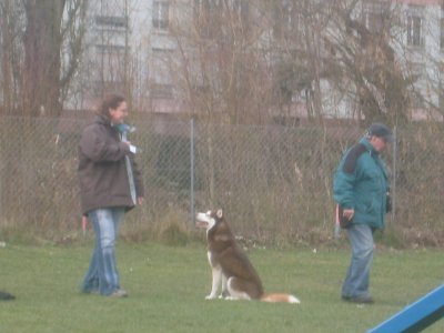 Publication : By Snow's Runner Auteur : sauter