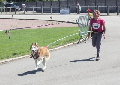 Publication : By Snow's Runner Auteur : sauter