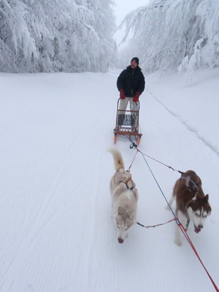 Publication : By Snow's Runner Auteur : sauter