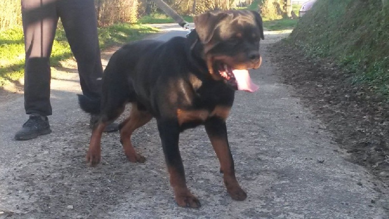 Publication : des Gardiens De La Cité Des Anges