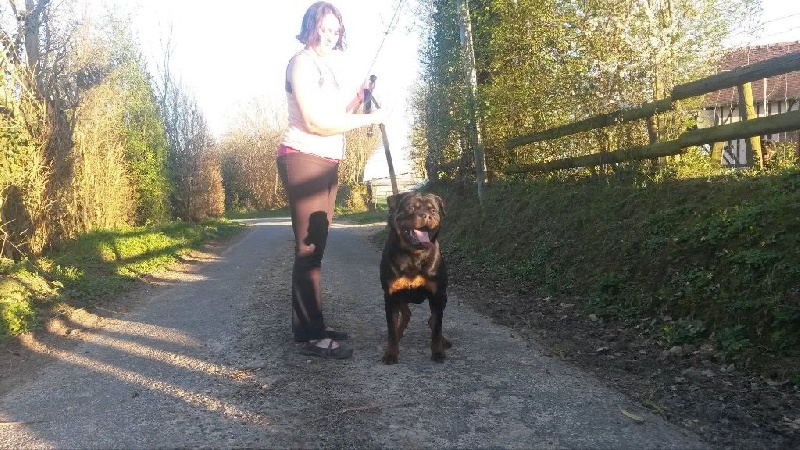 Publication : des Gardiens De La Cité Des Anges