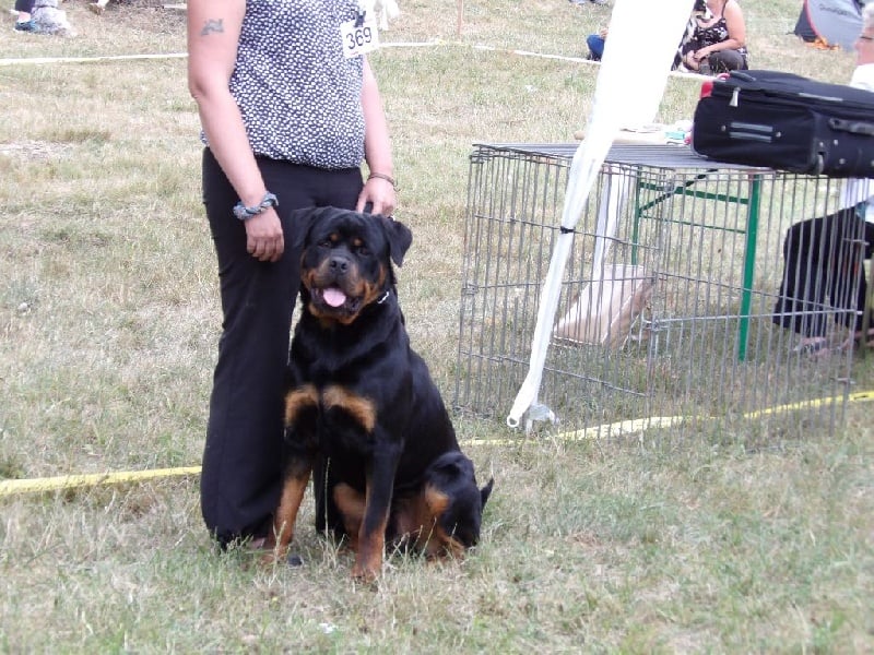 Jasko De la brigade des colosses - 2ème excellent CJM