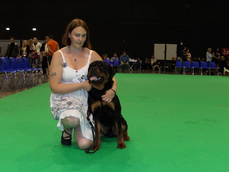 Jasko De la brigade des colosses - 1er excellent en CJM