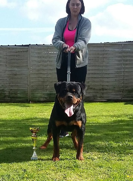 Jasko De la brigade des colosses - 1er Excellent CJM