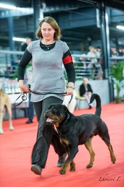 Jasko De la brigade des colosses - 1er exc. CACS + BOB en CIF