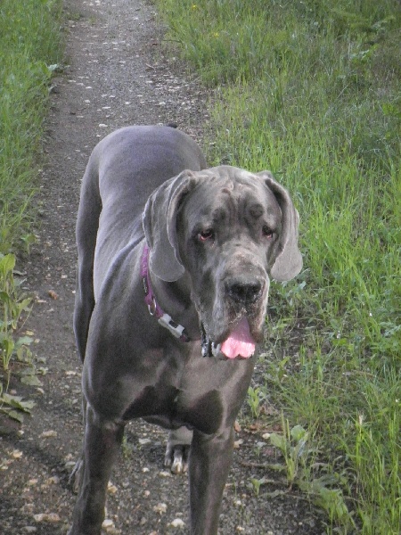 Publication : de La Prairie Des Fees