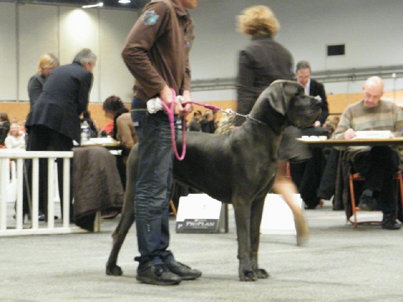 Publication : de La Prairie Des Fees