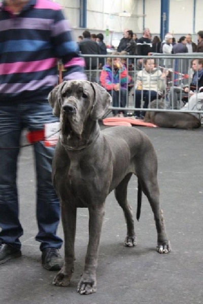 Publication : de La Prairie Des Fees