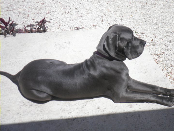 Publication : de La Prairie Des Fees