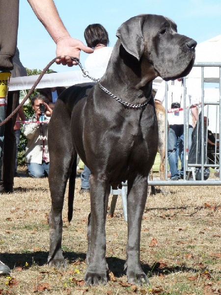 Publication : de La Prairie Des Fees