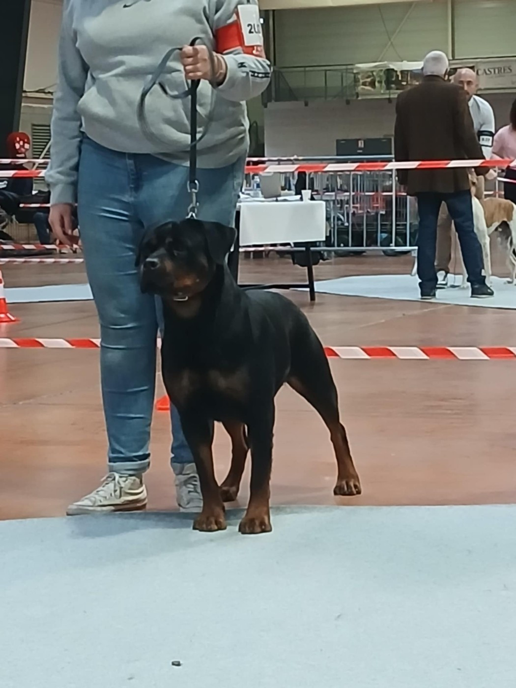 Publication : Des Princes De L'albinol Auteur : lionel marc