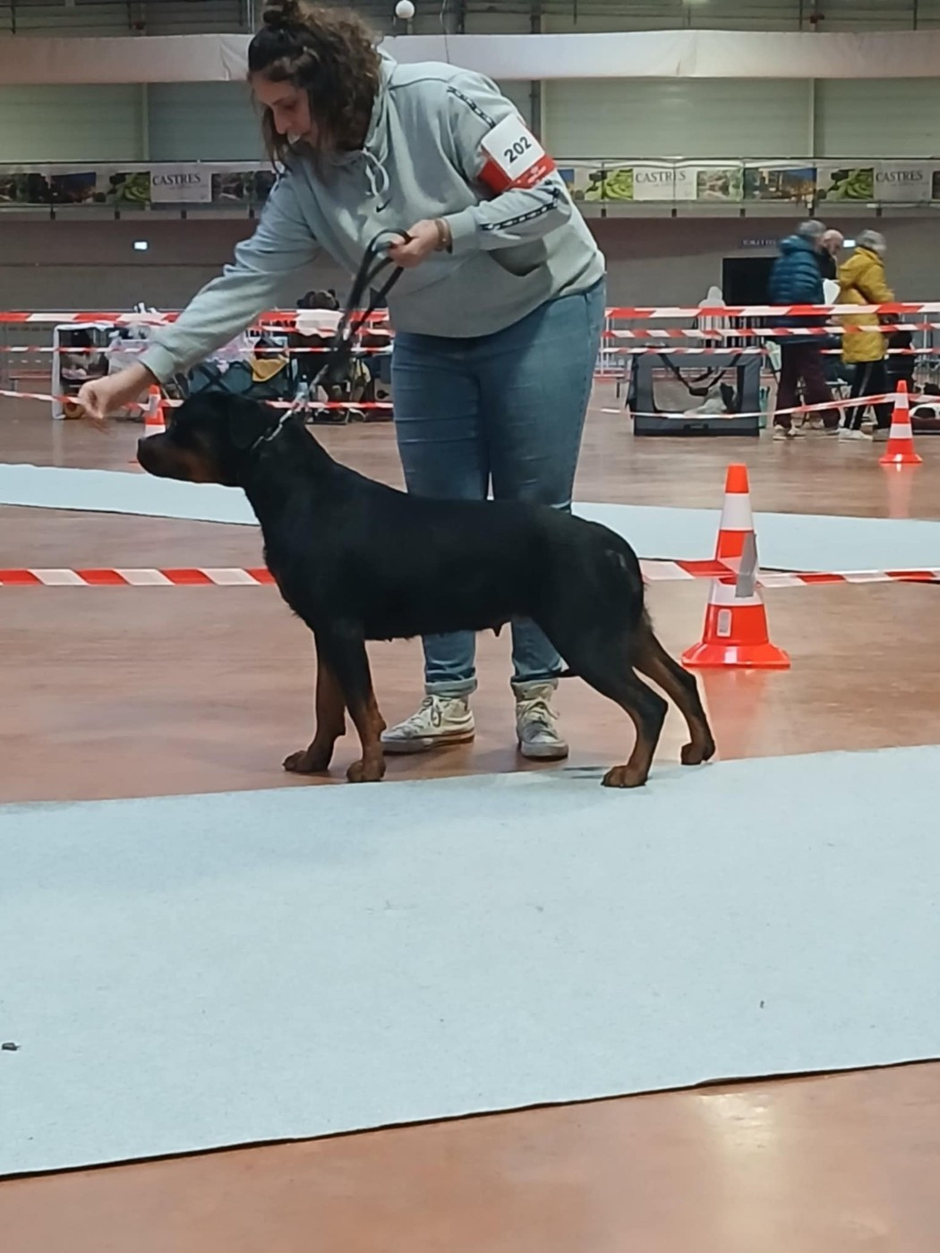 Publication : Des Princes De L'albinol Auteur : lionel marc