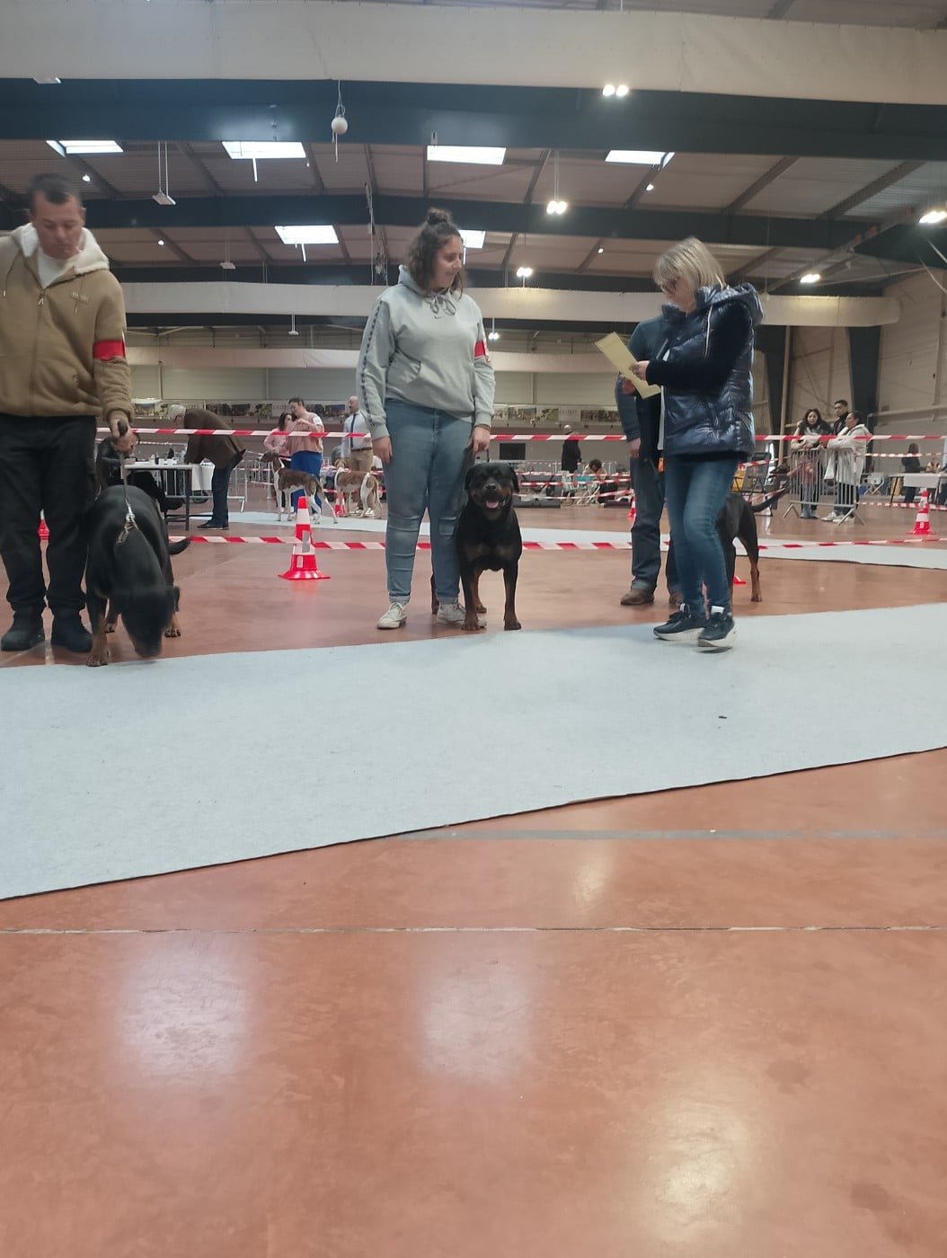 Publication : Des Princes De L'albinol Auteur : lionel marc