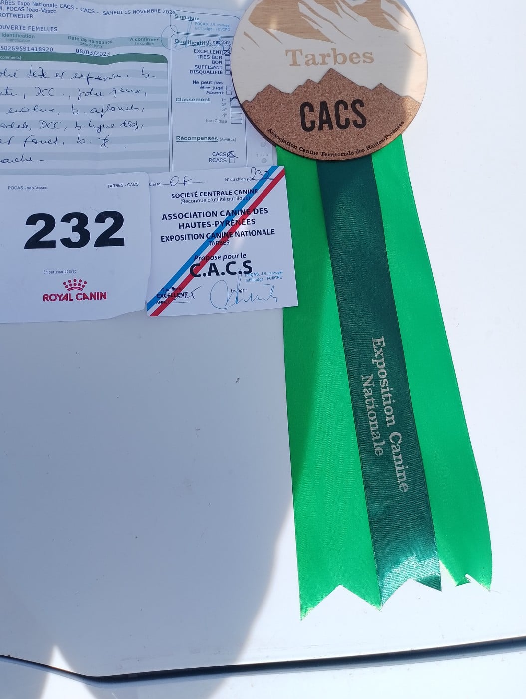 Ulka Des Princes De L'albinol - 1er excellent CACS