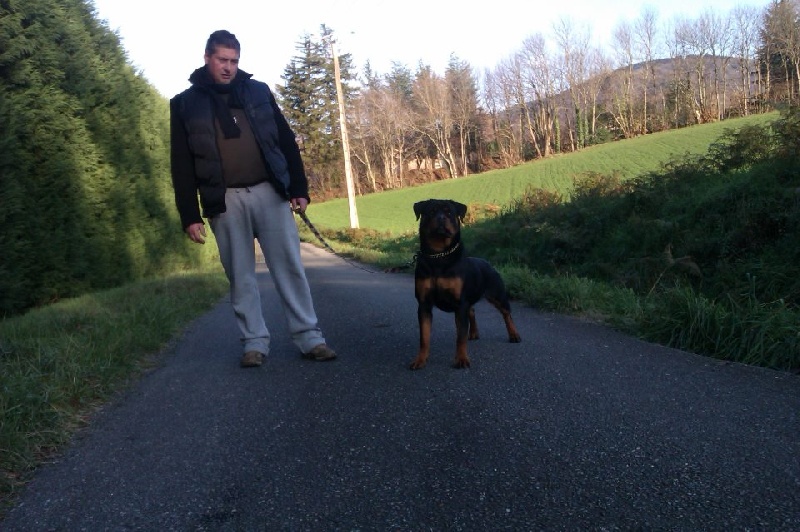 CH. Hanthea Des Princes De L'albinol - 1ère exc / cacs / bob