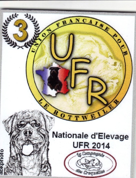 CH. Hanthea Des Princes De L'albinol - V3 classe ouverte