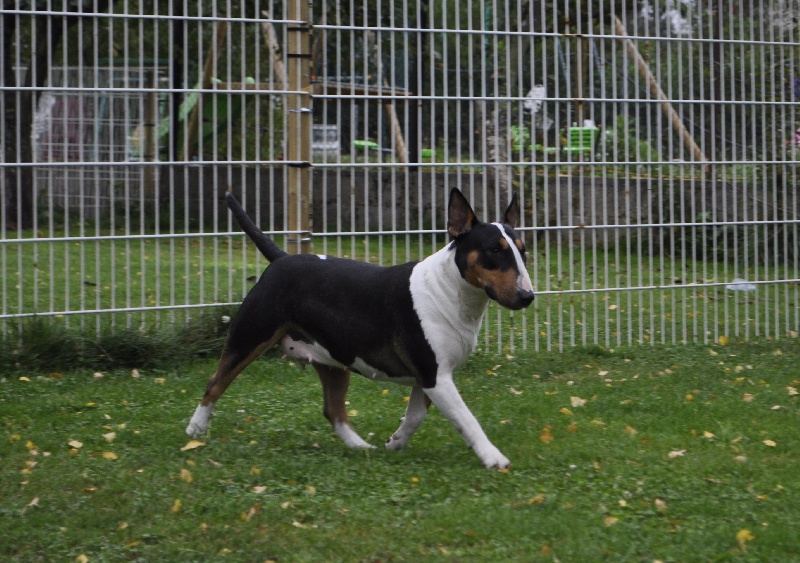 Chanel (Sans Affixe)