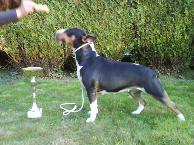 Chanel (Sans Affixe)