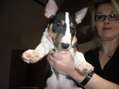 Chanel (Sans Affixe)