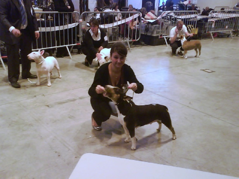 Chanel (Sans Affixe)