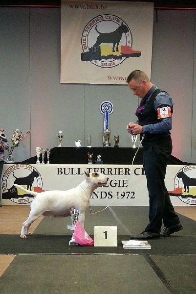 CH. Black Domina Grazia - 1er excellent classe champions femelles