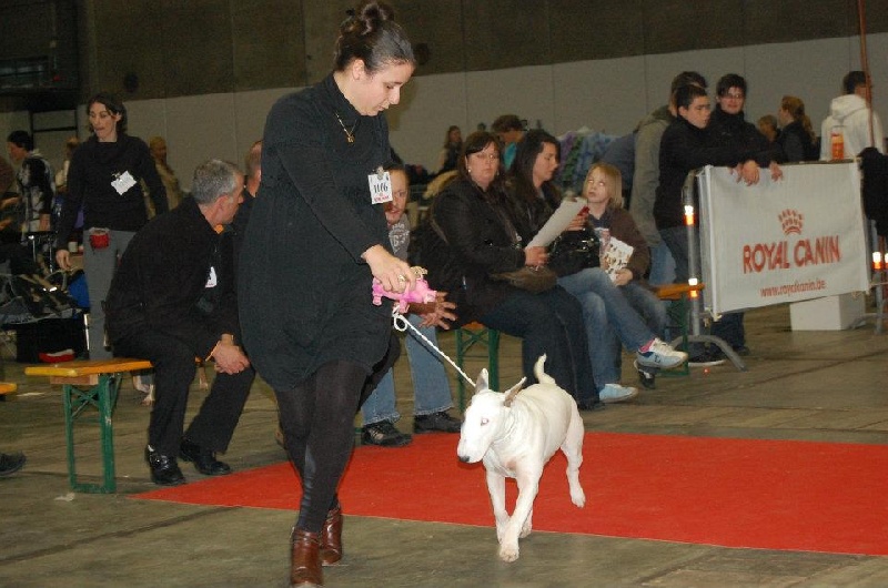 CH. Black Domina Grazia - Best puppy 6-9 mois