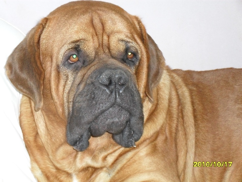 Publication : de l'Argonaute des Lauves Auteur : alain croix