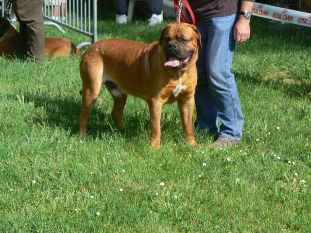 Publication : de l'Argonaute des Lauves Auteur : alain croix