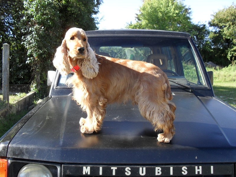 Publication : Woodcocks Valleys